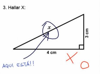 donde esta x ?
